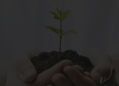 beat·365(中国)唯一官方网站